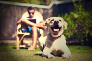 Medo Fogos de Artifício - Atitude Tranquila