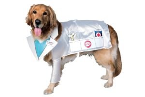 Piometra - Tratamento Piometra - Tratamento