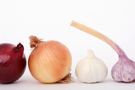 Alimentos Proibidos - Cebolas e Alhos