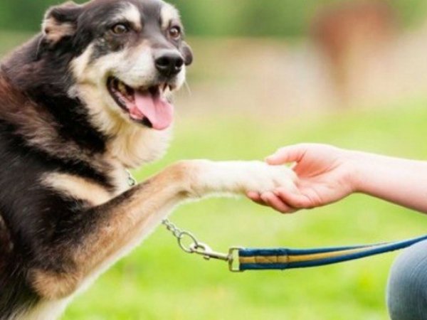 Xixi no Lugar Certo: Acertou o local, comemore